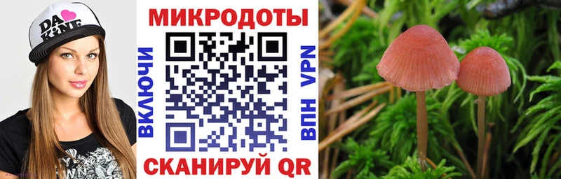 Псилоцибиновые грибы GOLDEN TEACHER Кашира