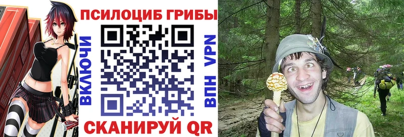 Галлюциногенные грибы GOLDEN TEACHER Купить закладки Кашира